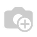 CAPITAL SYSTEMS